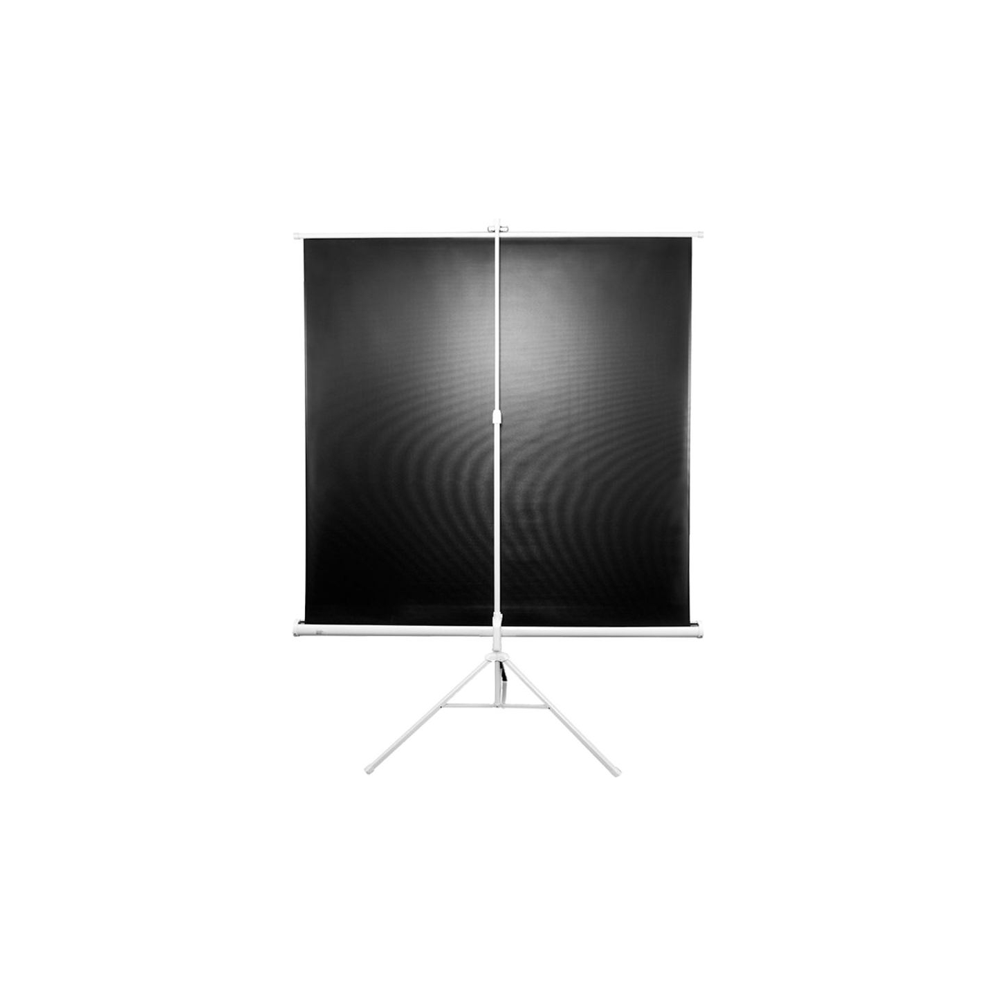 Elite Screens | Tripod Series | T120NWV1 | Diagonal 120 " | 4:3 | Viewable screen width (W) 244 cm | White