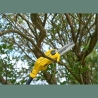 Stanley Cordless chainsaw SFMCPS720M1-QW, 18 V, 20 cm
