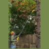 Stanley Cordless chainsaw SFMCPS720M1-QW, 18 V, 20 cm