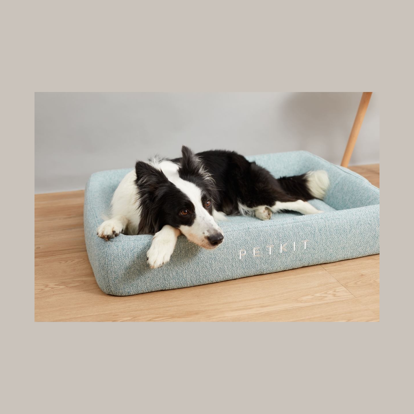 Petkit | Deep Sleep All Season Pet Bed M | Green