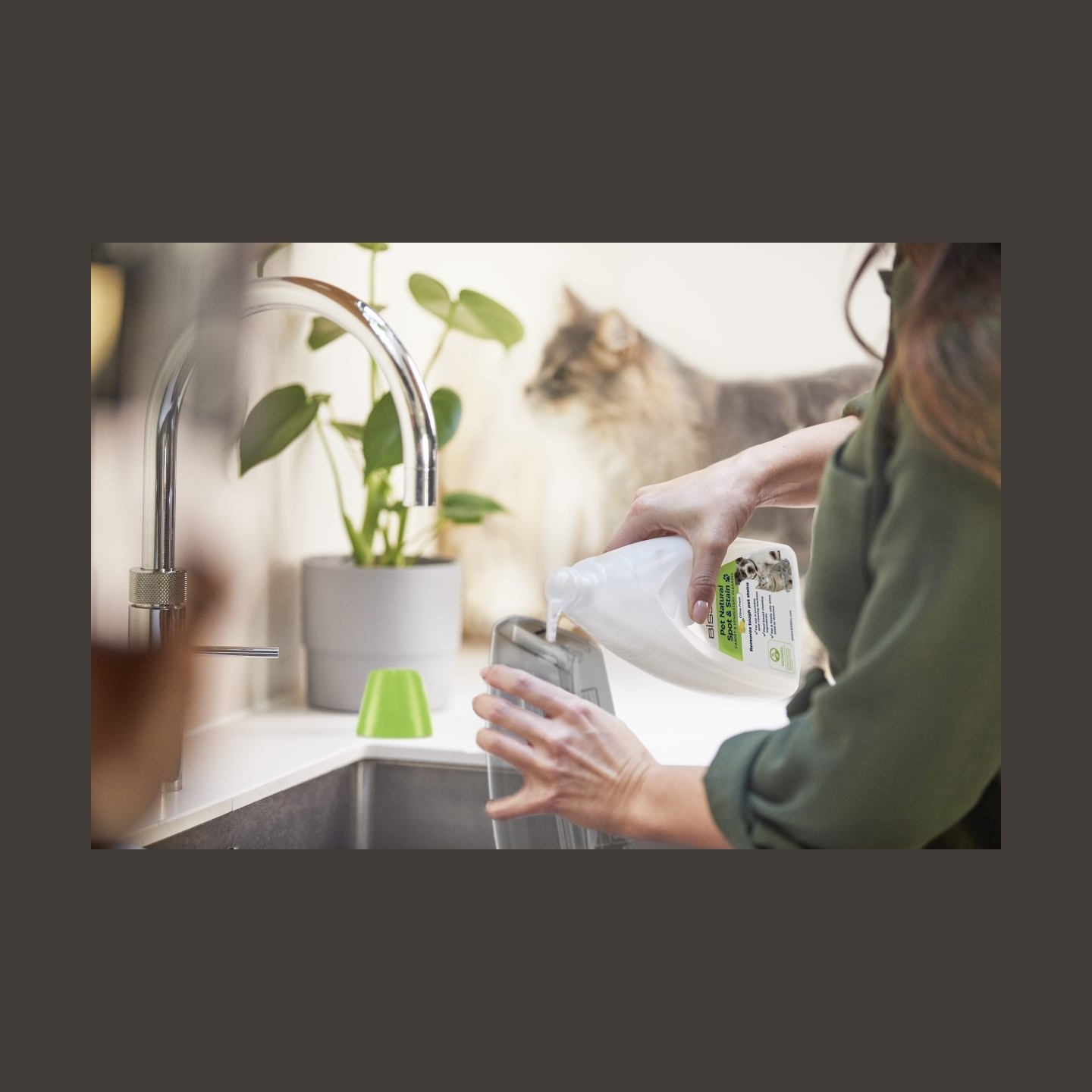 Bissell | PET Spot and Stain Portable Carpet Cleaning Solution | 1000 ml