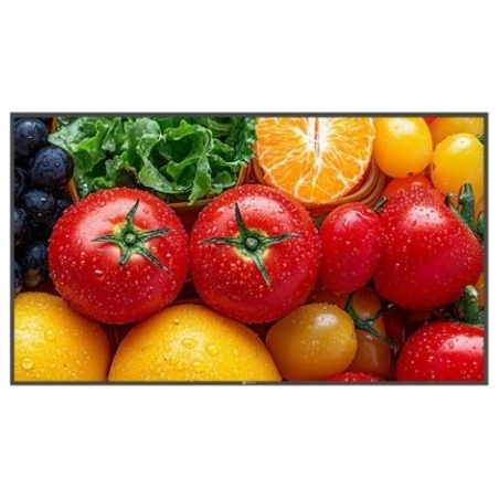Ag Neovo Display 55 inch QM-5503 4K 500cd/m2 5000:1 HDMI USB-C RJ-45 SPEAKERS 400X400