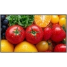 Ag Neovo Display 55 inch QM-5503 4K 500cd/m2 5000:1 HDMI USB-C RJ-45 SPEAKERS 400X400
