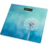 ETA Personal Scales | ETA178090040 Breeze | Maximum weight (capacity) 180 kg | Accuracy 100 g | Blue
