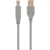 Cablexpert CCP-USB2-AMBM-6G USB 2.0 A-plug B-plug 6ft cable, grey color | Cablexpert | CCP-USB2-AMBM-6G | USB 2.0 A-plug B-plug 