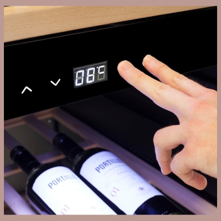 Caso | Smart Wine Cooler | WineExclusive 180 | Energy efficiency class G | Showcase | Free standing | Bottles capacity 180 bottl