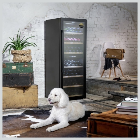 Caso | Smart Wine Cooler | WineExclusive 126 | Energy efficiency class G | Showcase | Free standing | Bottles capacity 126 bottl