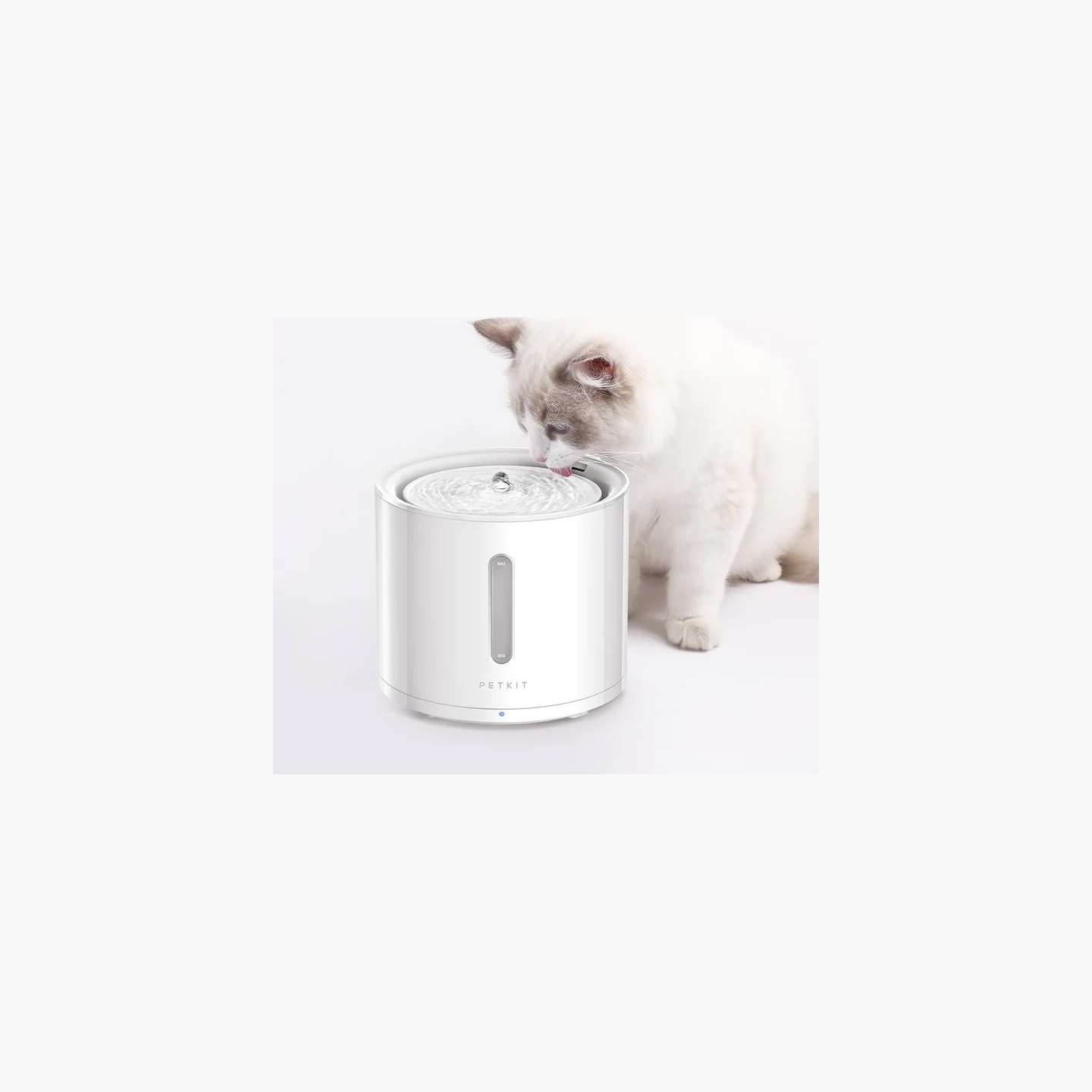 Petkit | Smart Pet Drinking Fountain | Eversweet Solo 2 | Capacity 2 L | Filtering | Material Plastic | White