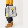 Petkit | Pet Carrier | BP3 X ZONE | Grey