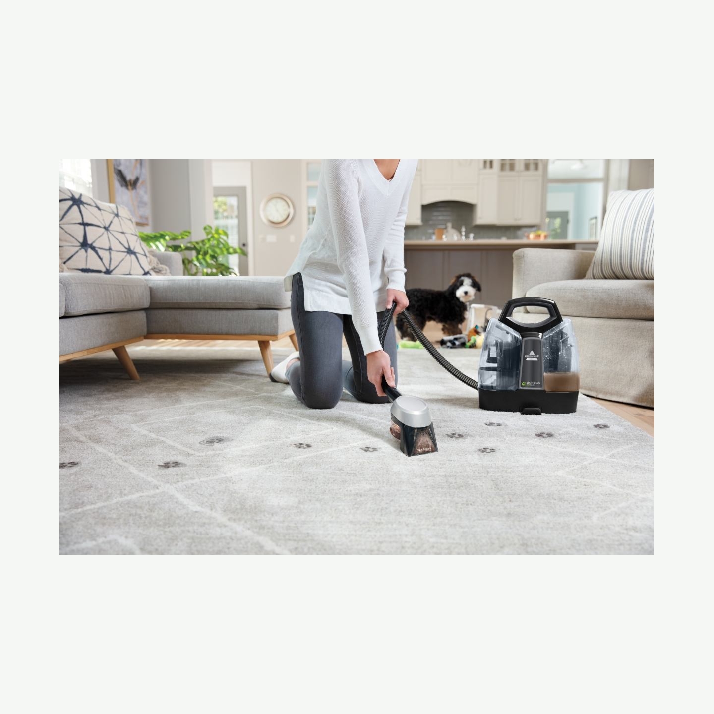 Bissell | SpotClean Pet Plus Cleaner | 37241 | Corded operating | 330 W | Black/Titanium | 24 month(s)
