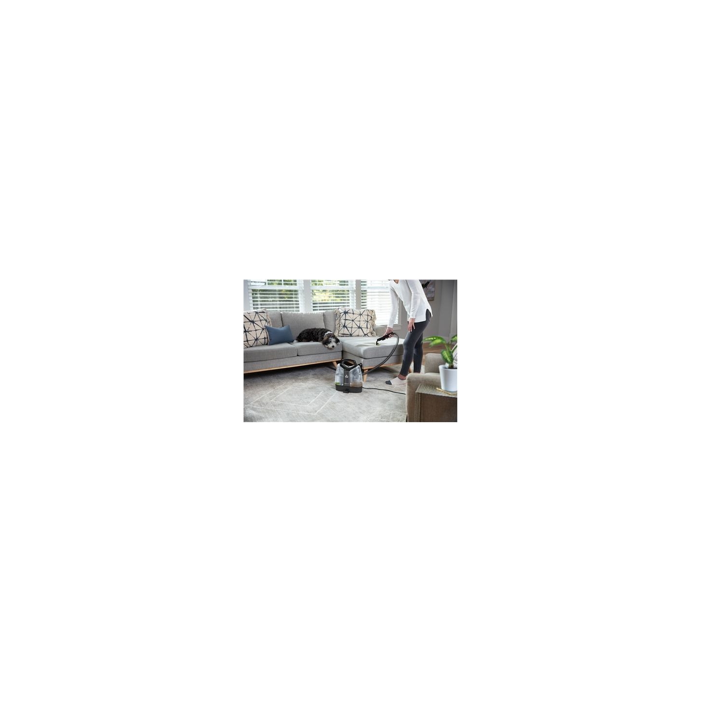 Bissell | SpotClean Pet Select Cleaner | 37288 | Corded operating | 330 W | Black/Titanium/Lime | 24 month(s)