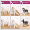 Petkit | Air Clipper Pet Grooming Vacuum Kit 5in1 | LM4 | Grey/White