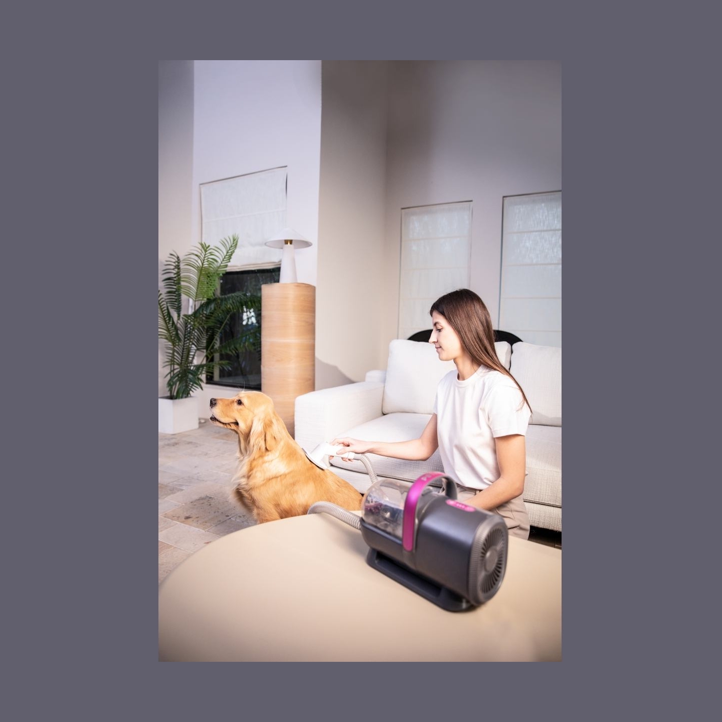 Petkit | Air Clipper Pet Grooming Vacuum Kit 5in1 | LM4 | Grey/White