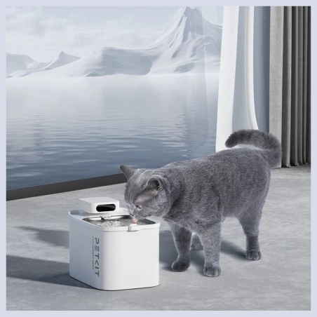 Petkit Drinking Fountain | Eversweet Max UVC | Capacity 3 L | Material  Food-grade ABS | White