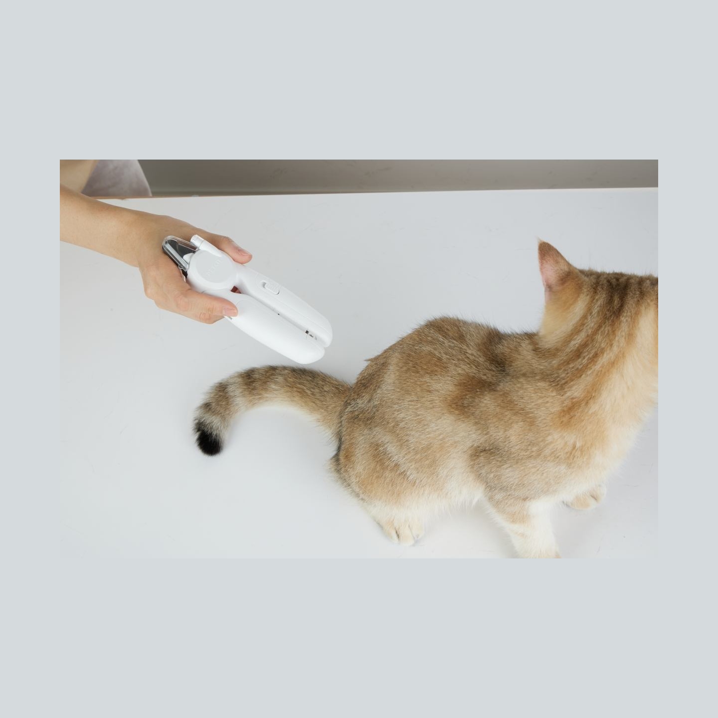 Petkit | LED Nail Clipper PRO | White