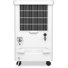 Duux Smart Dehumidifier | Bora | Suitable for rooms up to 30 m² | Water tank capacity 1.7 L | White