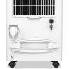 Duux Smart Dehumidifier | Bora | Suitable for rooms up to 30 m² | Water tank capacity 1.7 L | White