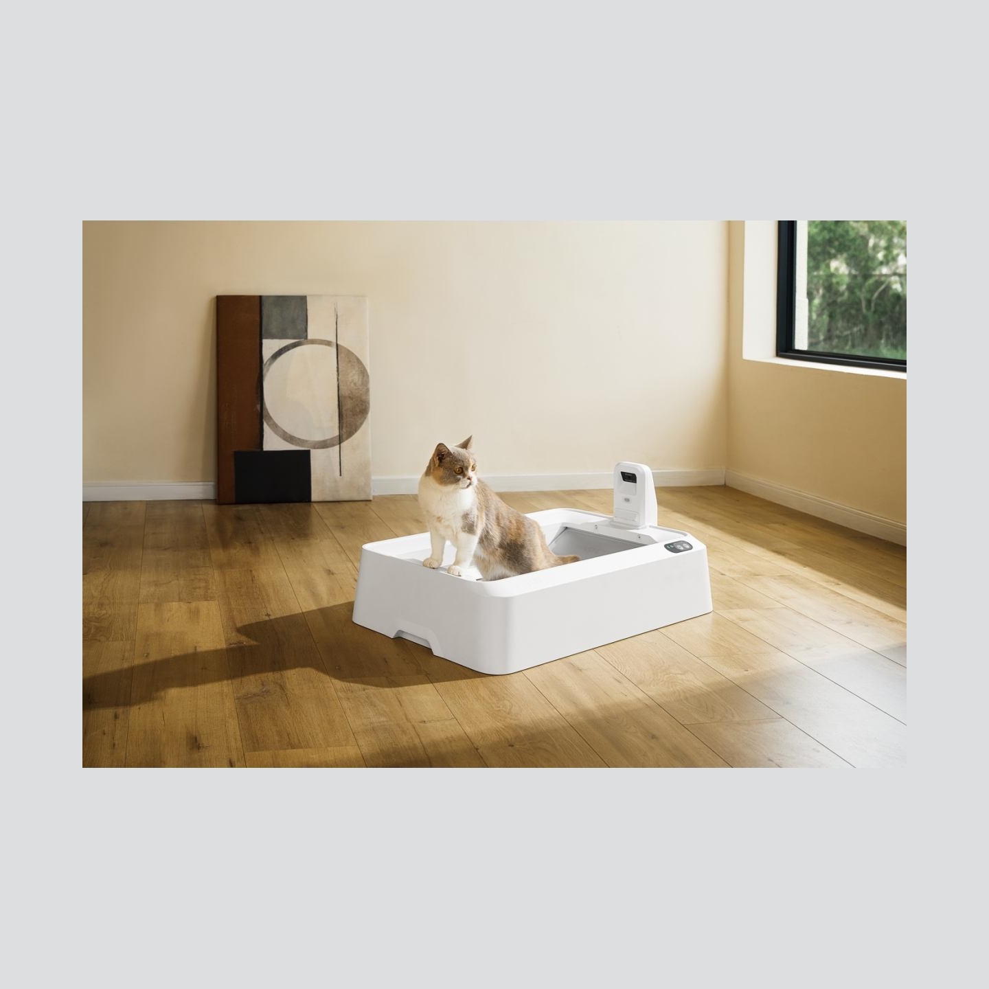 Petkit Purobot Crystal Duo with Camera Self-Cleaning Cat Litter Box | White