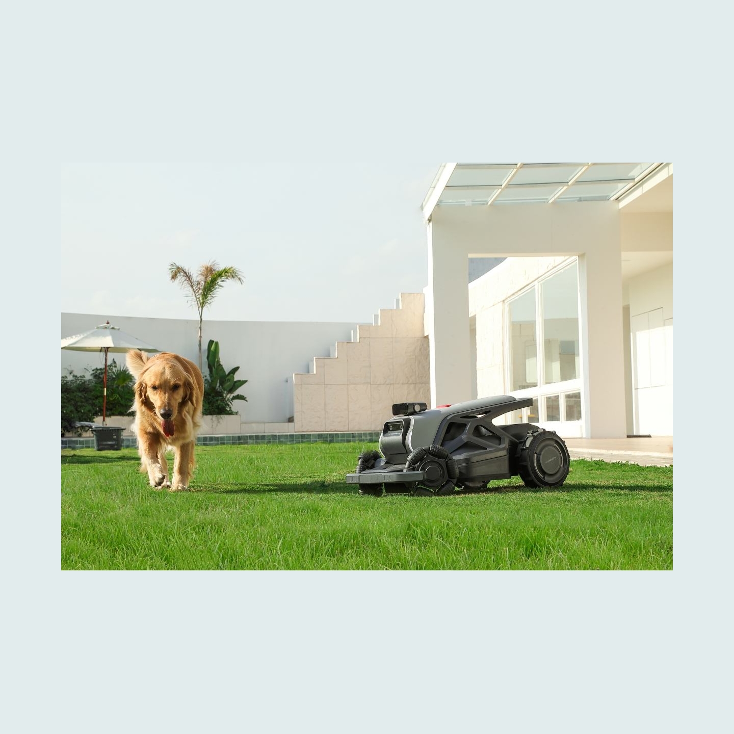 Airseekers Limited | Tron 300° AI Vision Mulching Mower, 2400m², Ai Vision + NRTK | 15 Ah