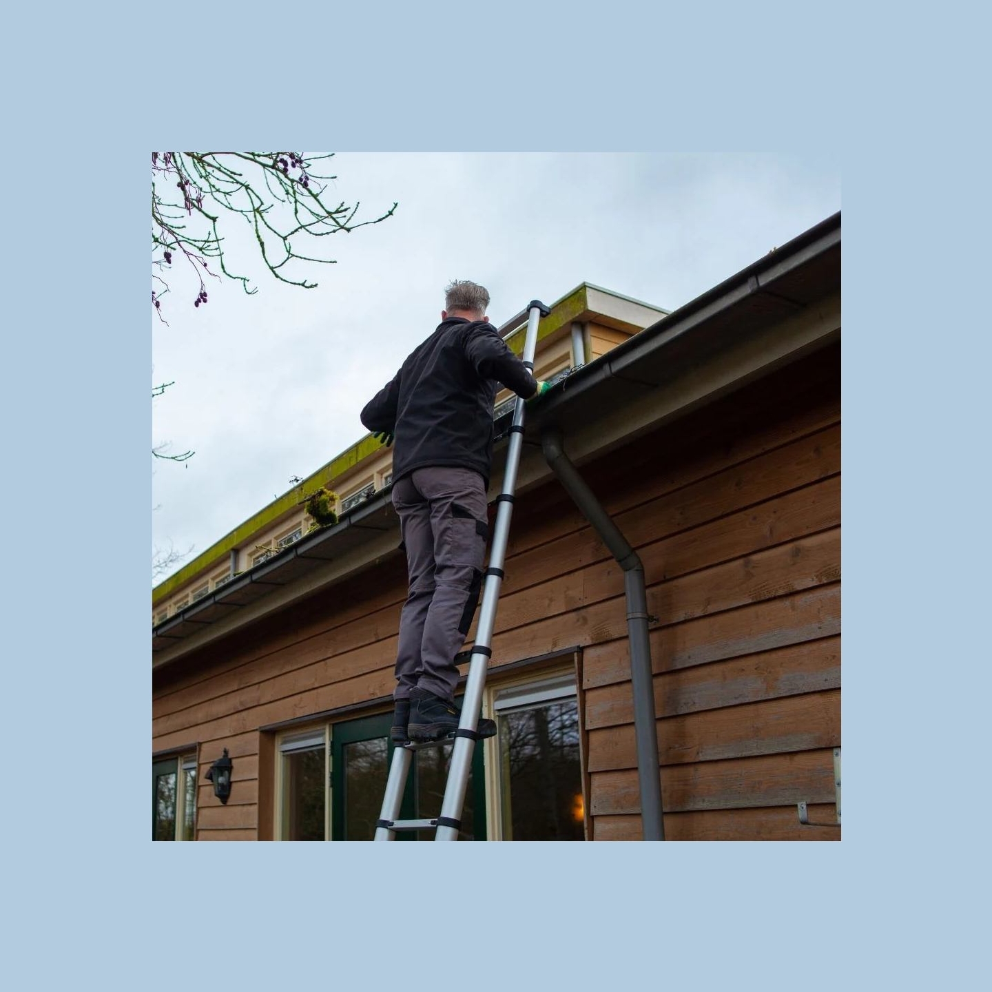 Batavia B.v. | Giraffe PRO Telescopic Ladder 2.93 m