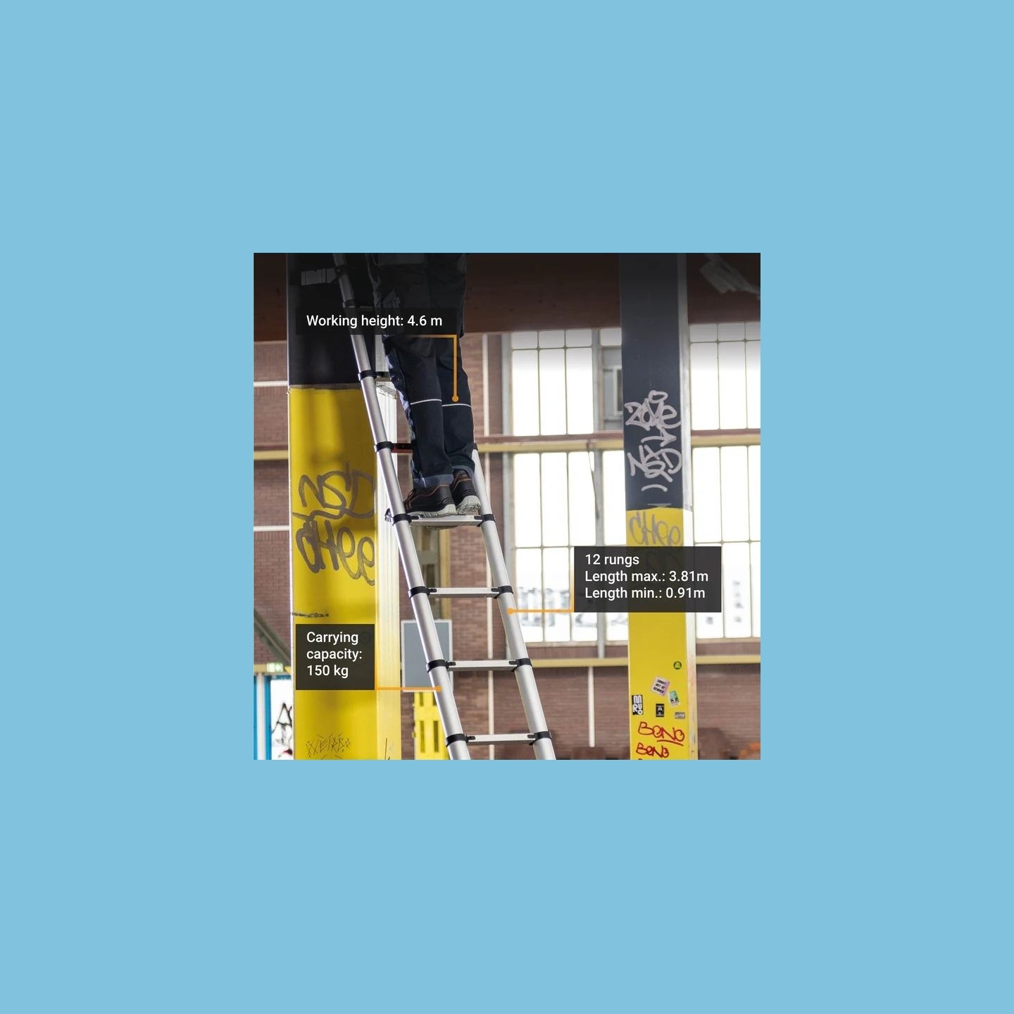 Batavia B.v. | Giraffe PRO Telescopic Ladder 3.81 m