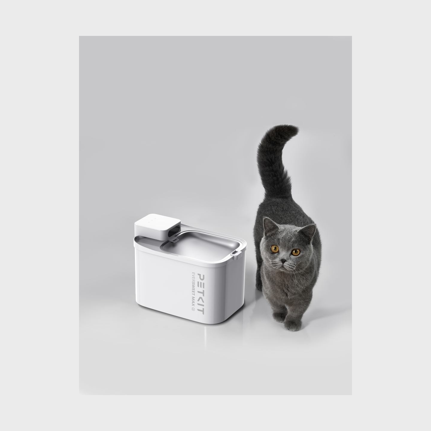 Petkit Drinking Fountain | Eversweet Max 2 | Capacity 3 L | Material BPA Free | White
