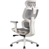 Onex Gaming Office Chair | Ventra Premium Mesh | White