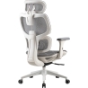 Onex Gaming Office Chair | Ventra Premium Mesh | White
