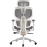 Onex Gaming Office Chair | Ventra Premium Mesh | White