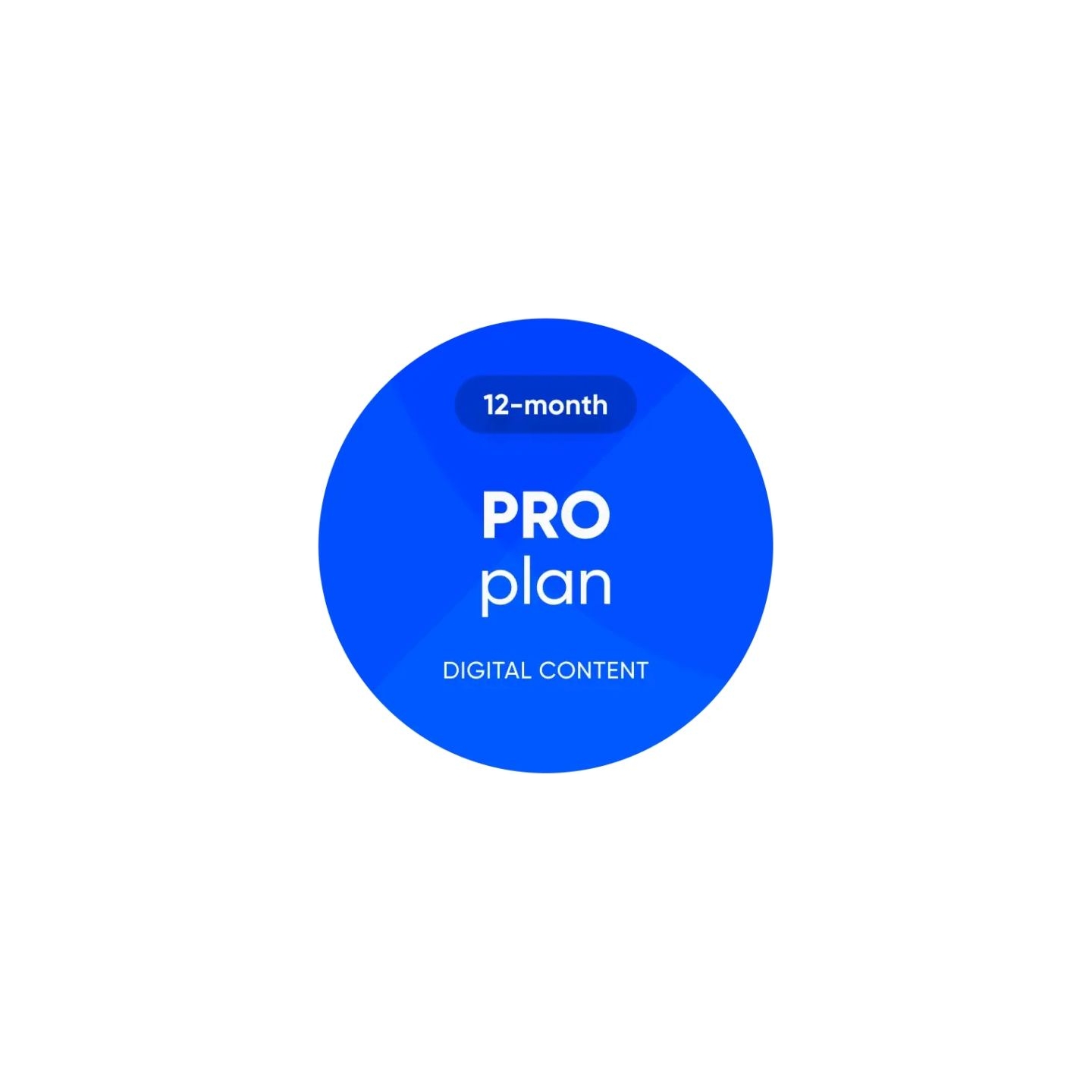 Obdeleven 3 PRO Pack + 100 Credits