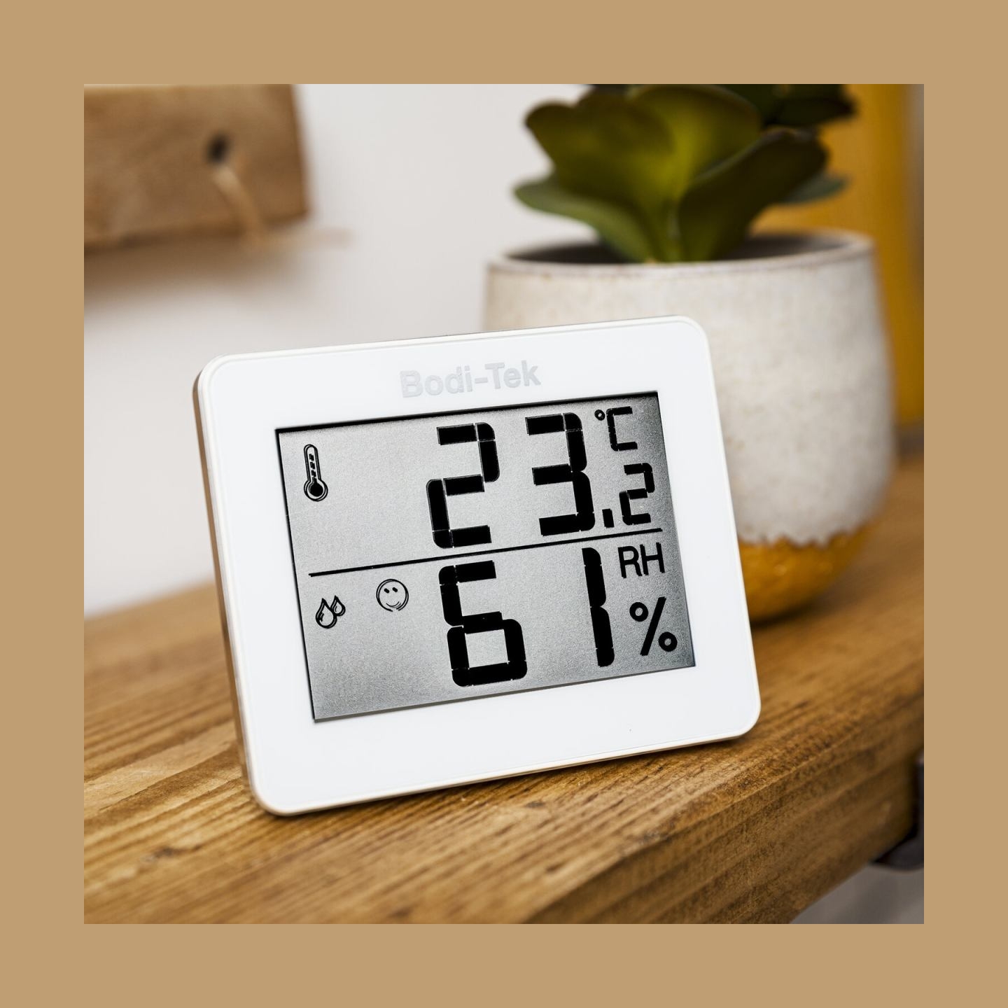 Bodi-Tek Room Thermometer And Hygrometer