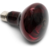 Bodi-Tek Infrared Heat Lamp