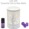 RIO LAFO-EU/1,1 FORA Aroma Difuser Lamp