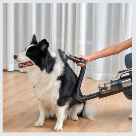 Jimmy | Pet Brush/Flexible Hose for PW11 and HW11 series