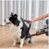 Jimmy | Pet Brush/Flexible Hose for PW11 and HW11 series