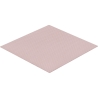Thermal Grizzly | Minus Pad 8 (100 x 100 x 0.5 mm) | N/A