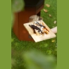 Barbecook | Bamboo cutting board FSC, 30 x 20 x 1.5 cm (per 6 pcs) | BC-ACC-7300