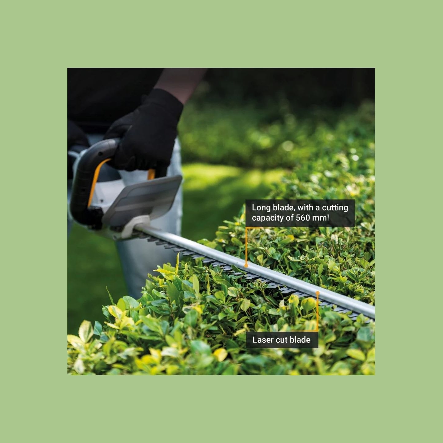 Batavia B.v. 18V Cordless Hedge Trimmer 560mm | Trimmer
