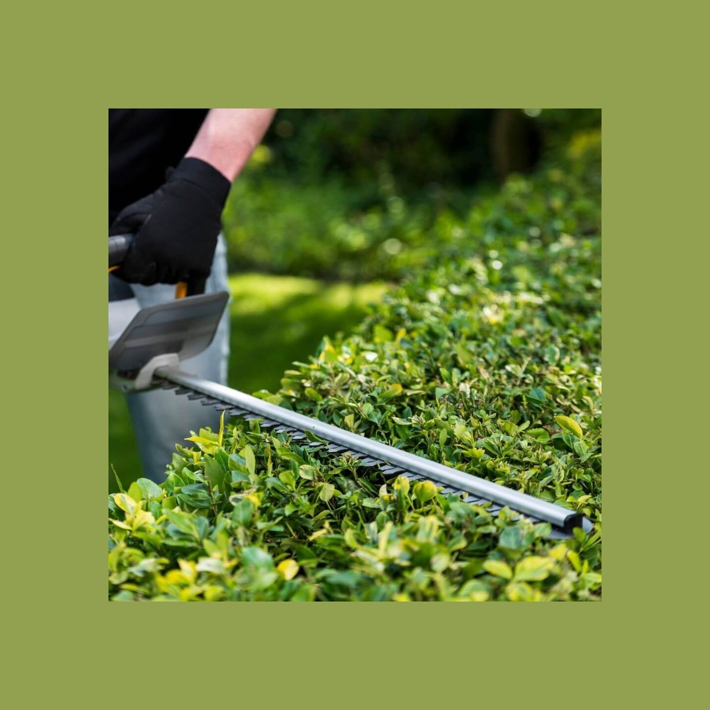 Batavia B.v. 18V Cordless Hedge Trimmer 560mm | Trimmer