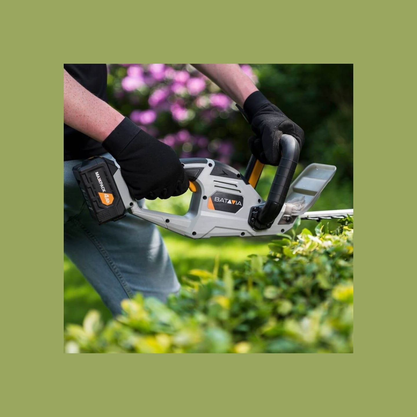 Batavia B.v. 18V Cordless Hedge Trimmer 560mm | Trimmer
