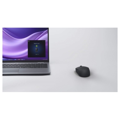 Dell Silent Mouse - MS355 / 570-BBJH