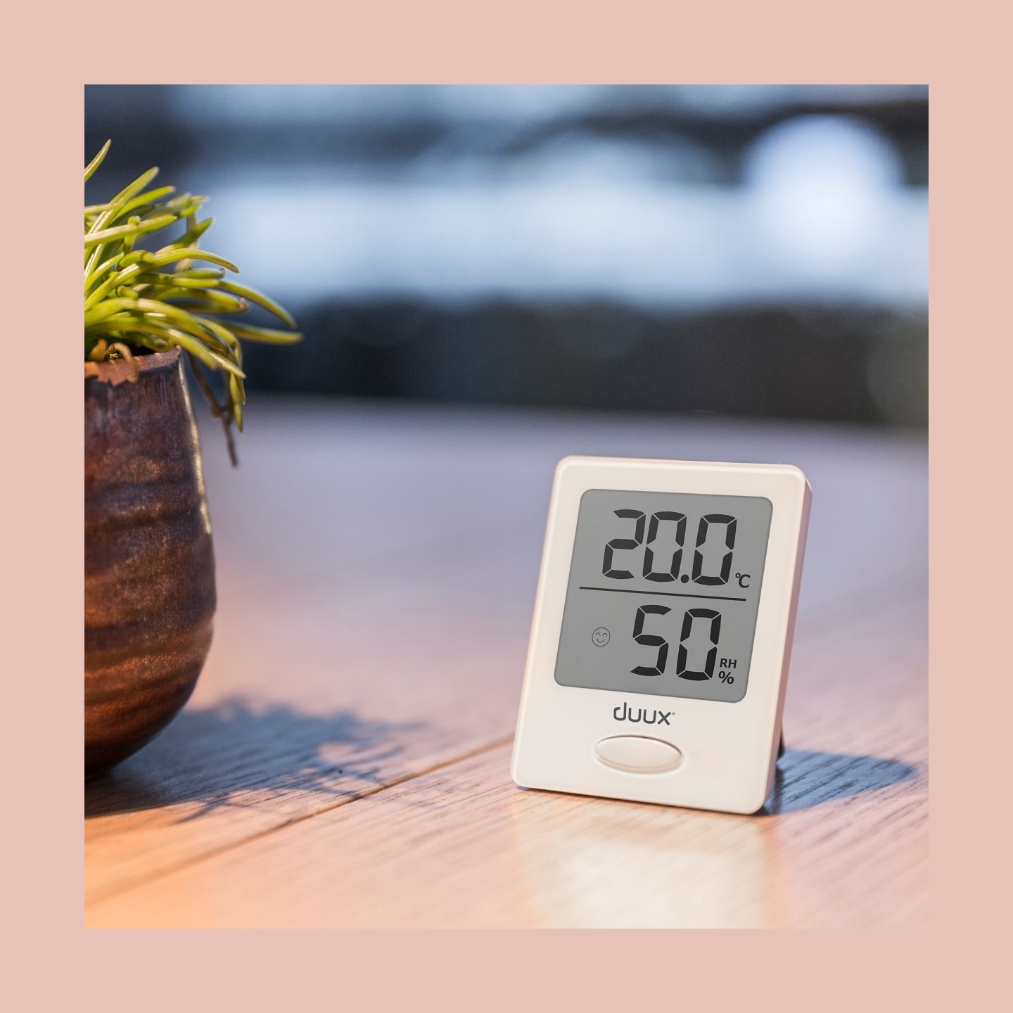 Duux | Sense | White | LCD display | Hygrometer + Thermometer