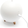 RIO DHMI-EU/1,3 Aroma Difuser, Humidifier & Night Llight
