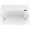 Arozzi Electric Standing Desk | Arena Nordico | White