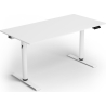 Arozzi Electric Standing Desk | Arena Nordico | White