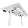 Arozzi Electric Standing Desk | Arena Nordico | White