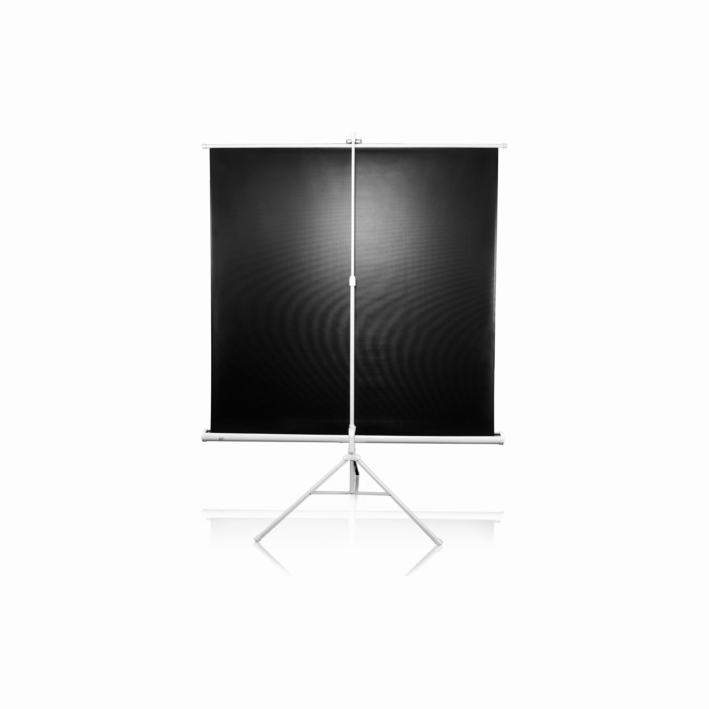 Elite Screens | Tripod Series | T113NWS1 | Diagonal 113 " | 1:1 | Viewable screen width (W) 203 cm | White