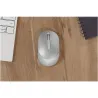 Dell Premier Rechargeable Wireless Mouse - MS7421W - Platinum Silver / 570-ABLO