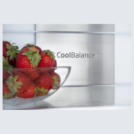 Amica Fridge-freezer BK3055.6NFM(E)