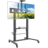 Techly Mobile Stand for Interactive Whiteboards 52-110 inches, 120kg, smooth adjustment